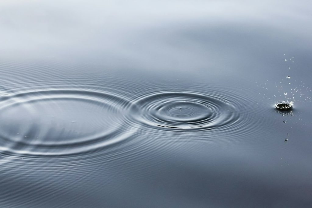 Concentric ripples spreading across the surface of water